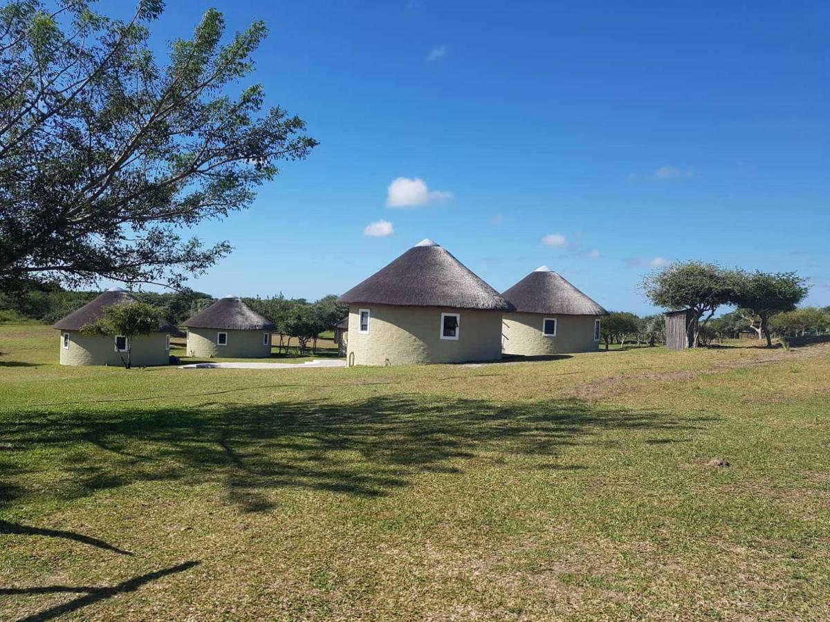 Izulu Eco Lodge 소드와나 베이 외부 사진